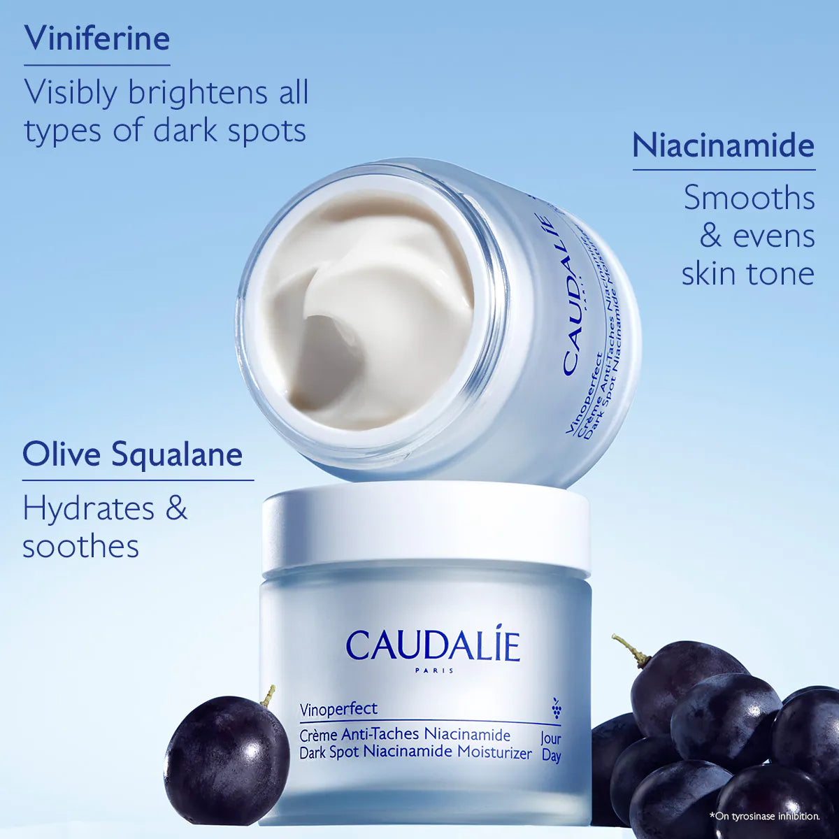 Vinoperfect Brightening Refillable Moisturizer with Niacinamide
