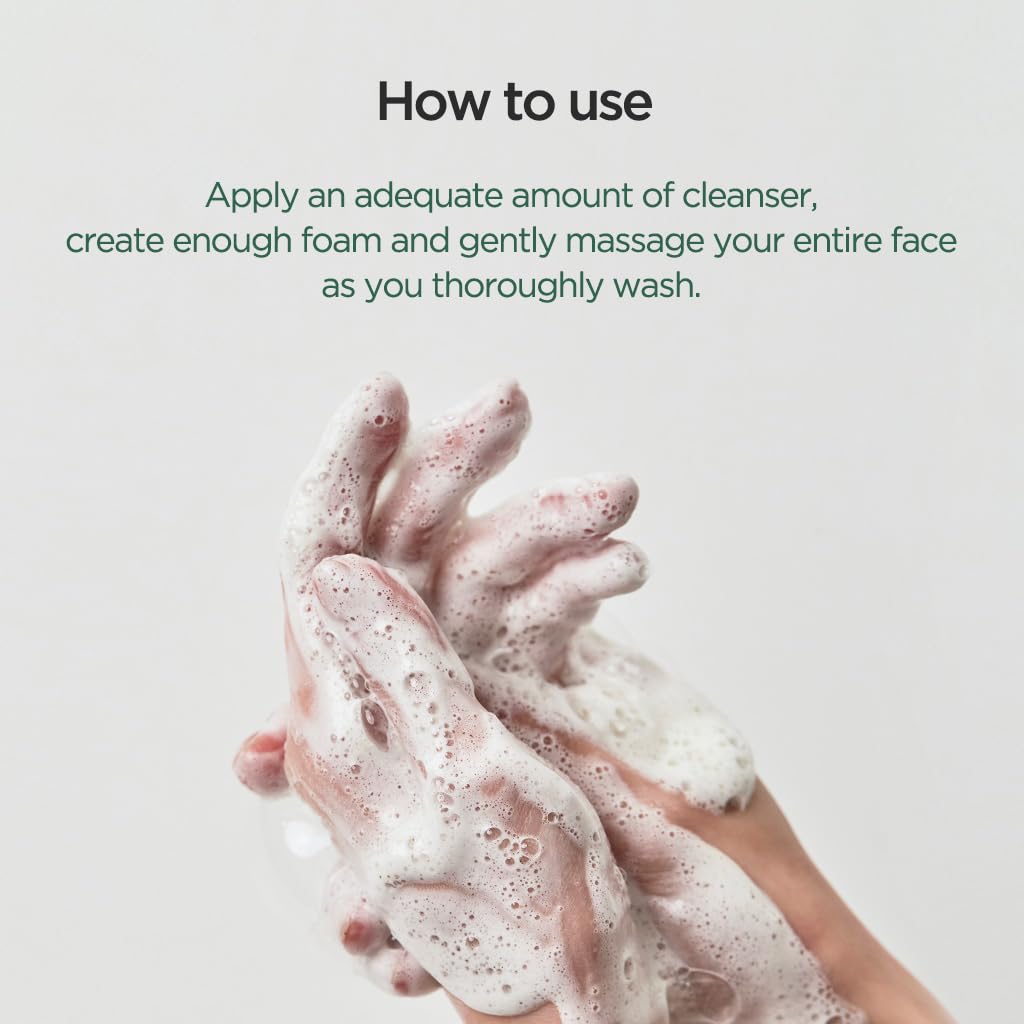 ANUA Heartleaf Quercetinol Pore Deep Cleansing Foam