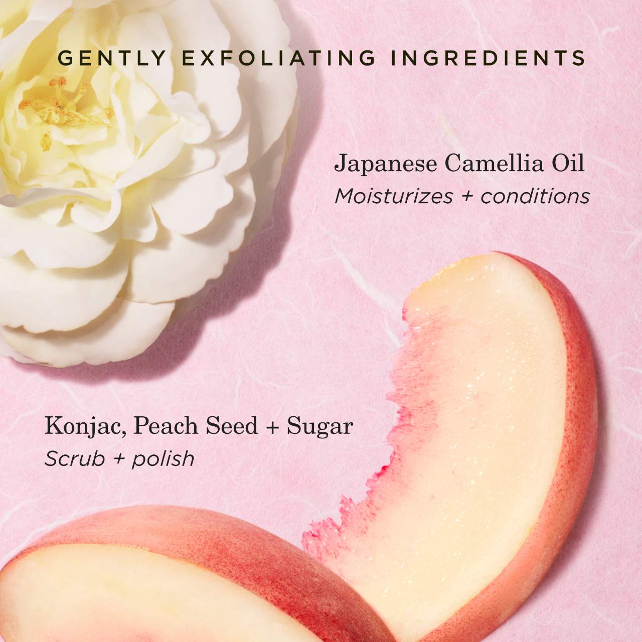 Tatcha  The Kissu Lip Scrub