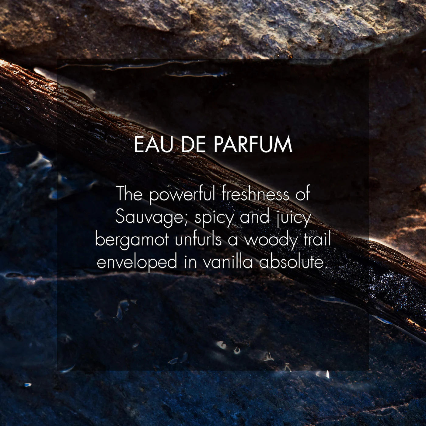 Sauvage Dior Eau de Parfum