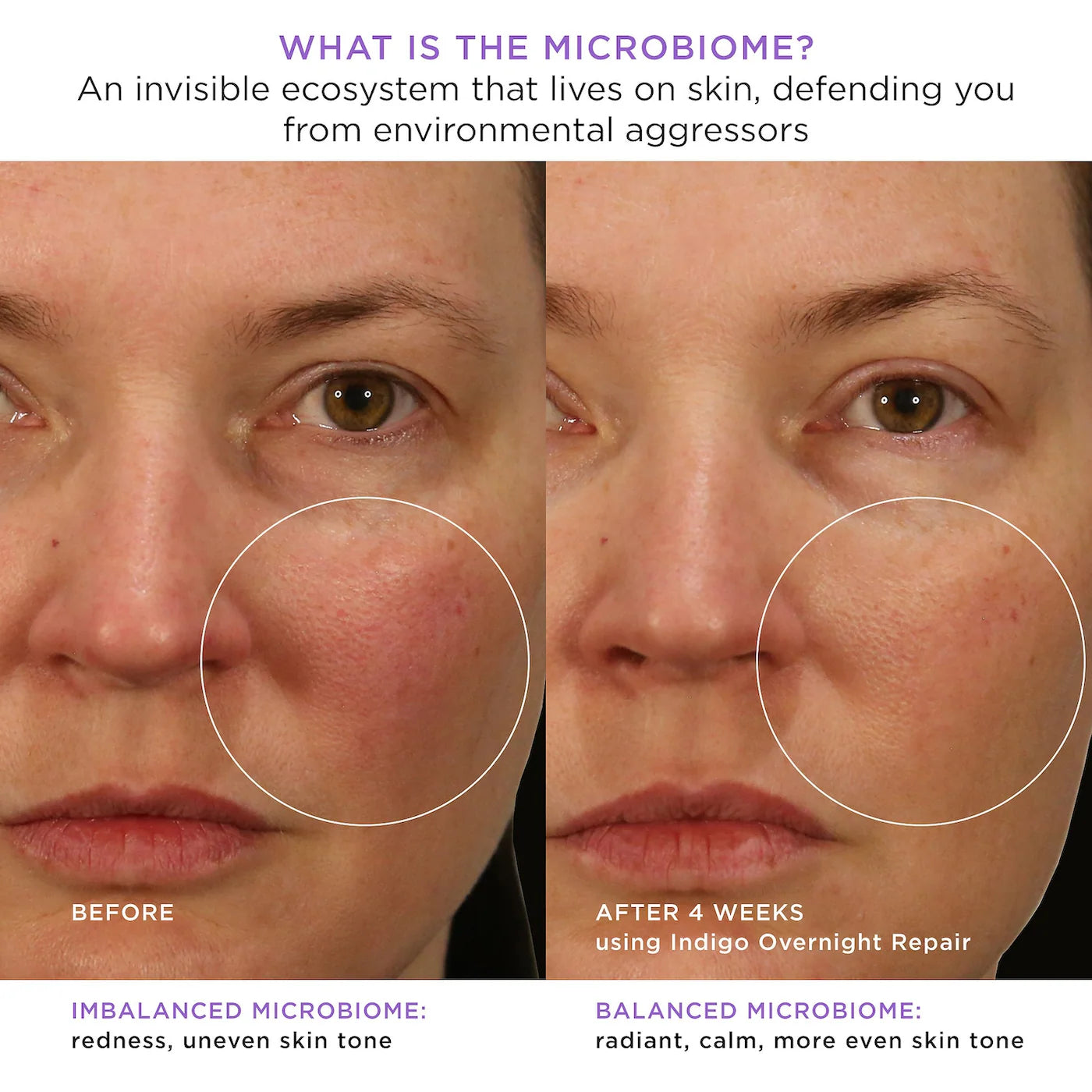 Indigo Overnight Repair Serum in Cream Treatment