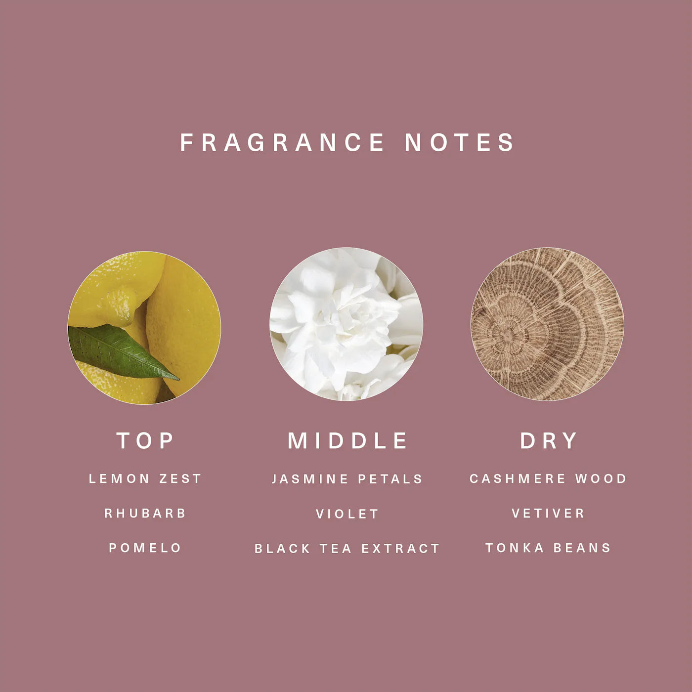 Find Comfort Gentle Exfoliating Konjac Jelly Body Wash