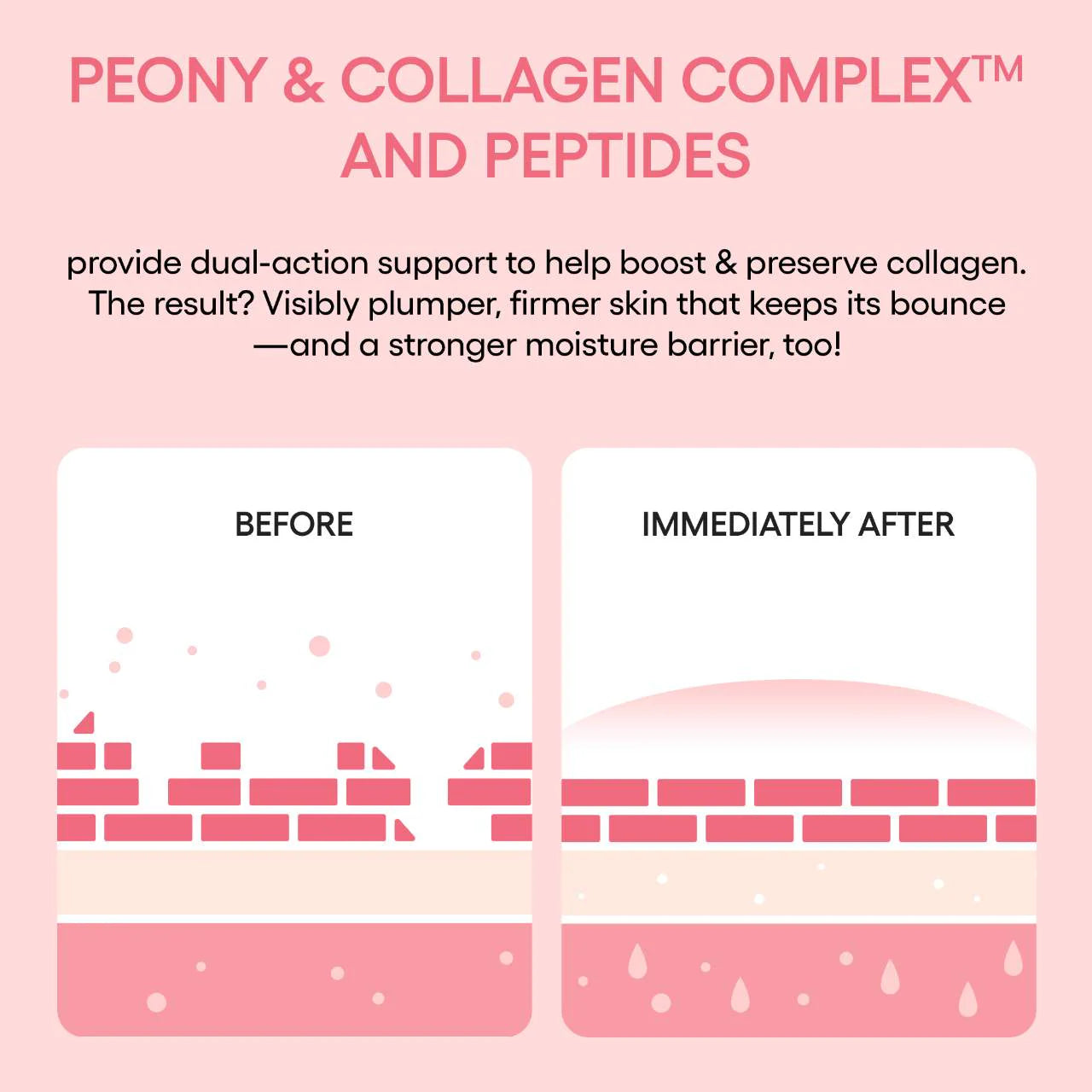 Bouncy & Firm Plump, Firm & Glow Set