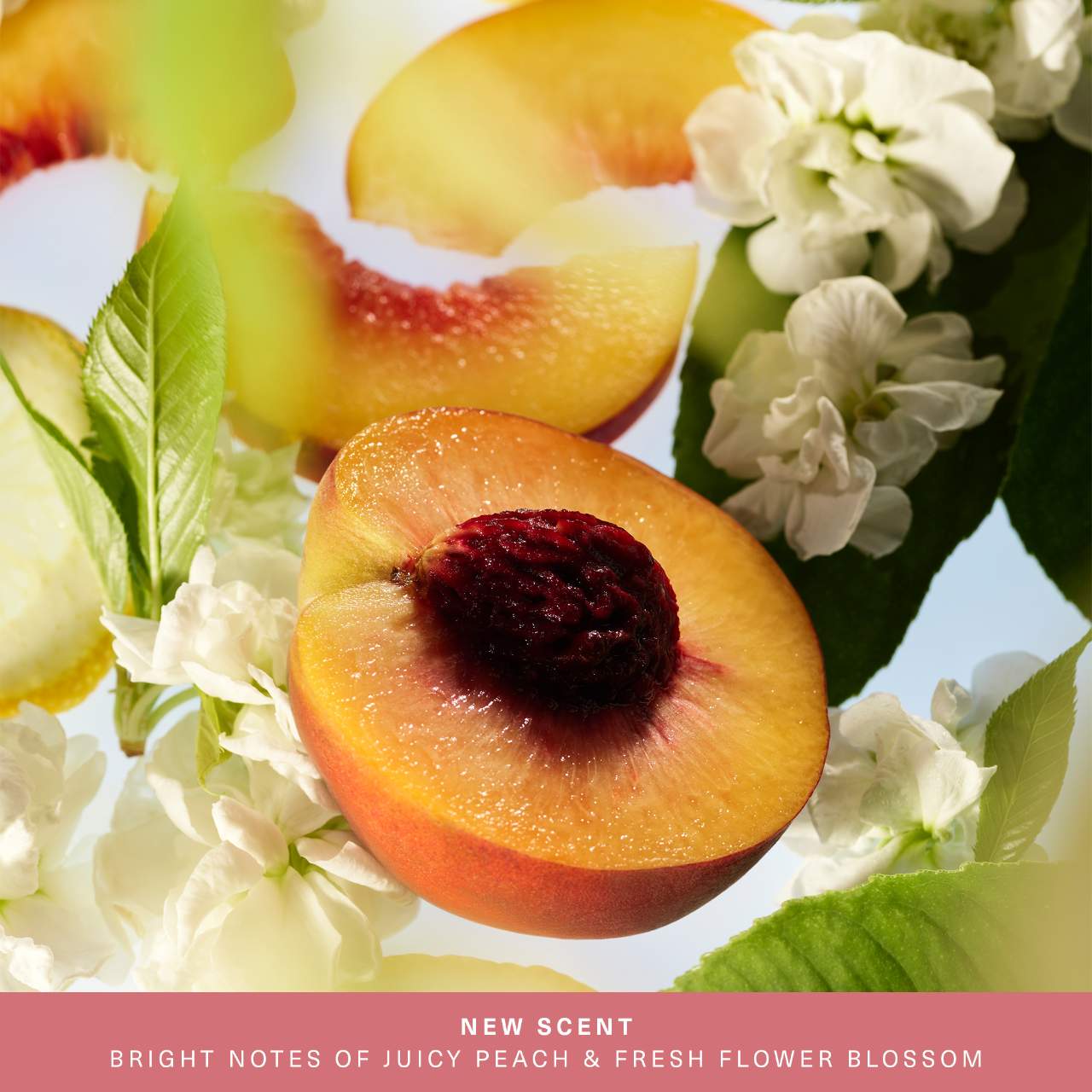 Find Comfort: Awaken Confidence Bouncy Body Cream with Hyaluronic Acid