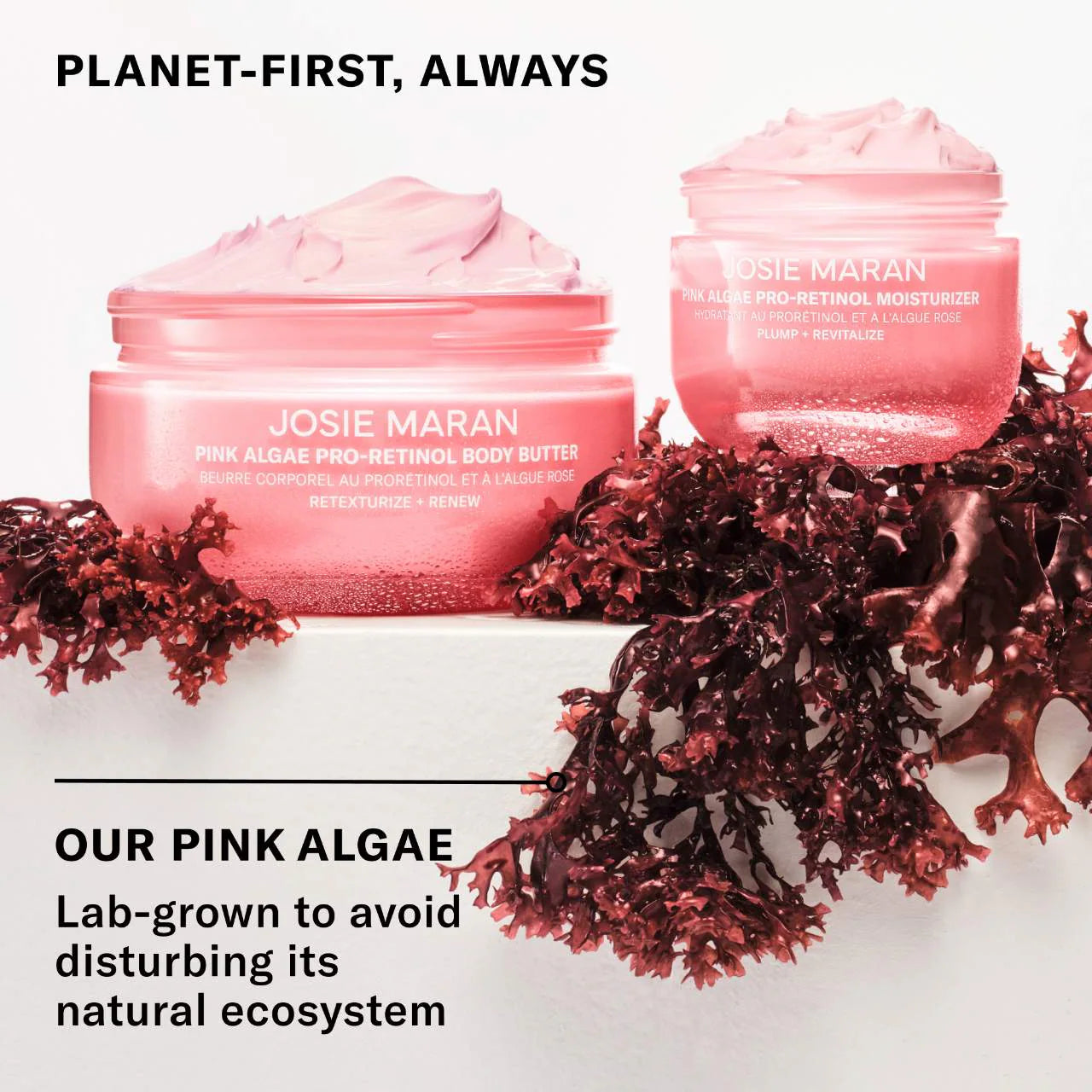 Pink Algae Pro-Retinol Body Butter for Anti-Aging and KP