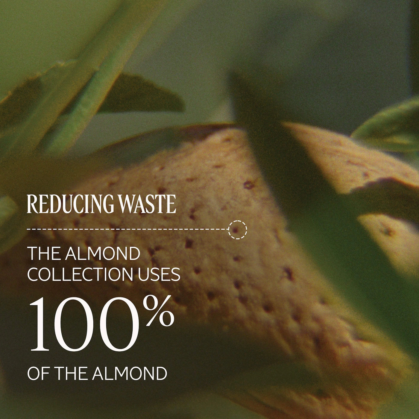 Instant Golden Glow with Almond Shimmering Body Oil