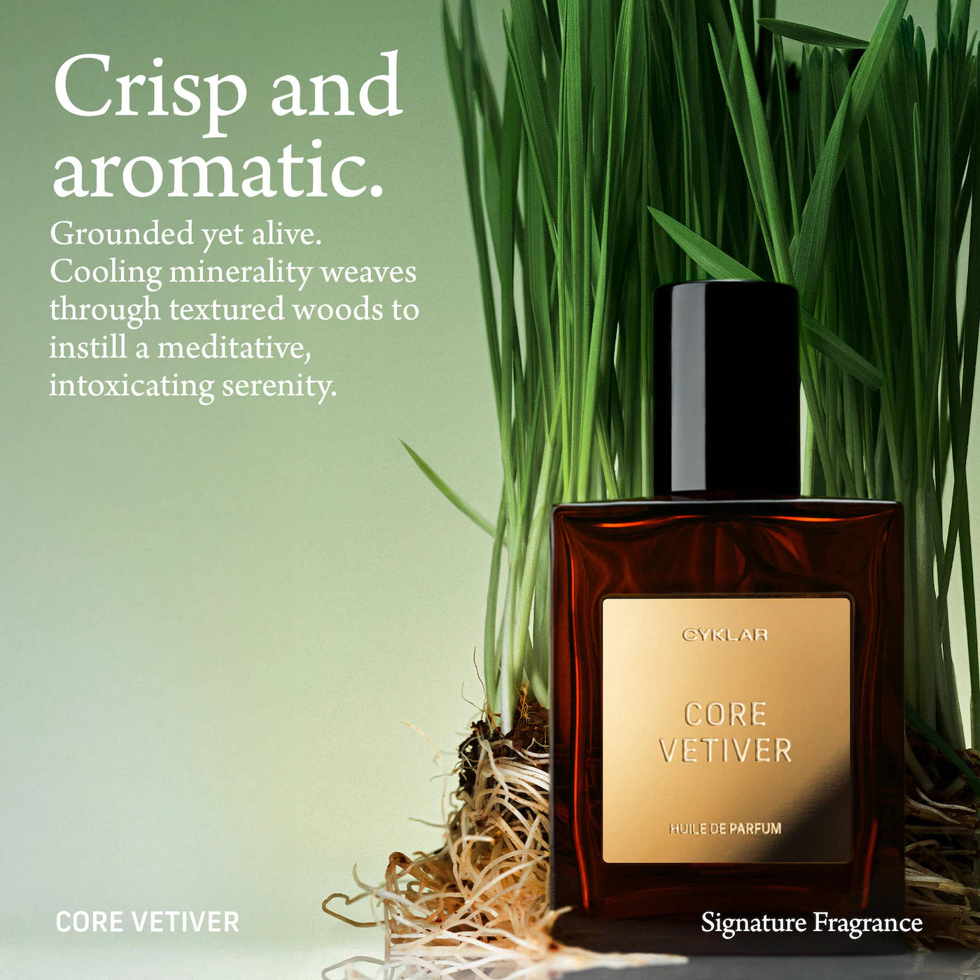 Core Vetiver Roll-On Perfume Oil with Driftwood and Citrus Zest