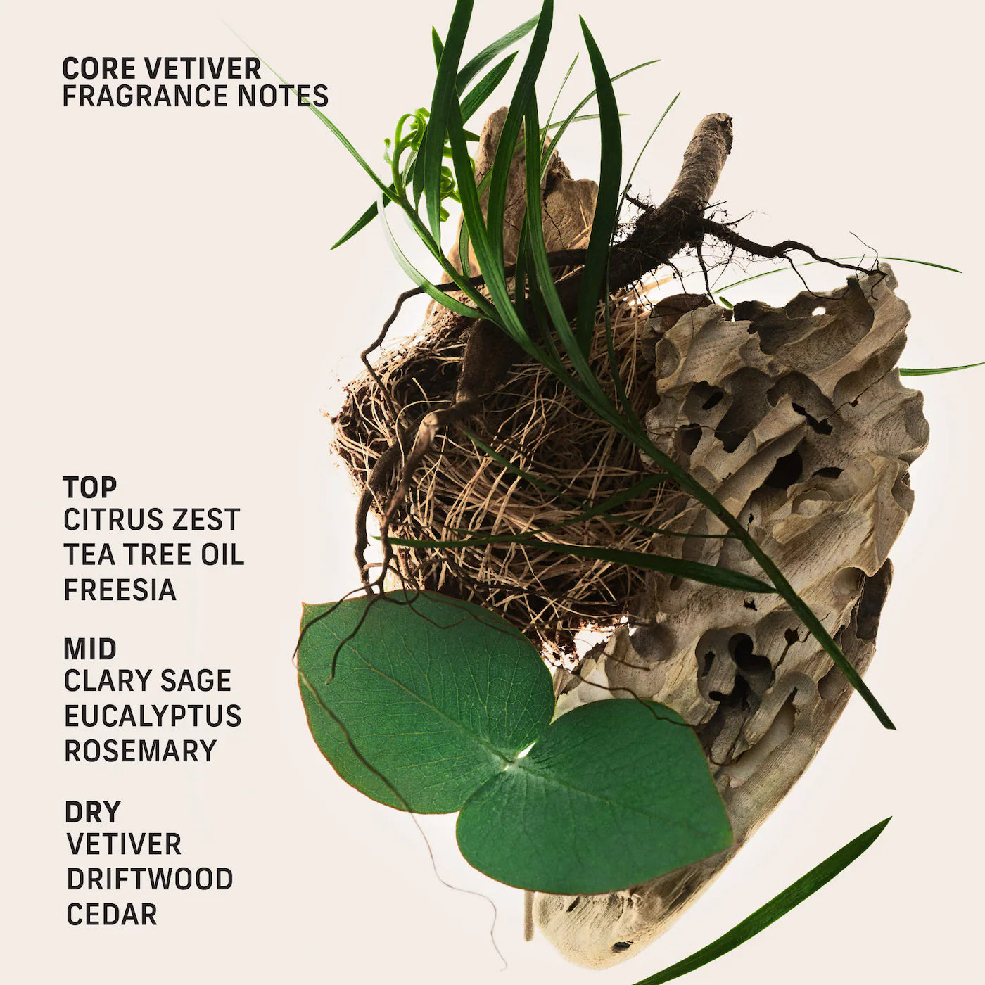 Core Vetiver Roll-On Perfume Oil with Driftwood and Citrus Zest
