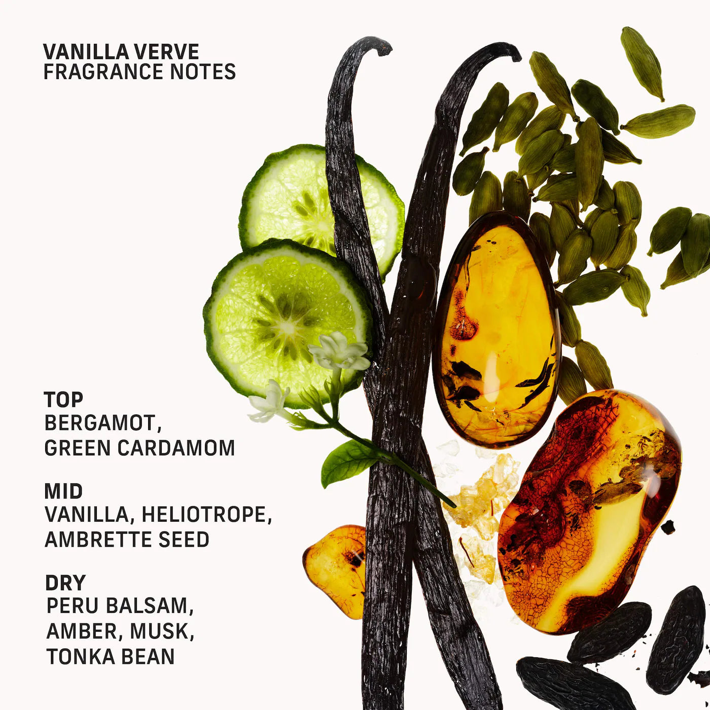 Vanilla Verve Illuminating Body Oil with Squalane