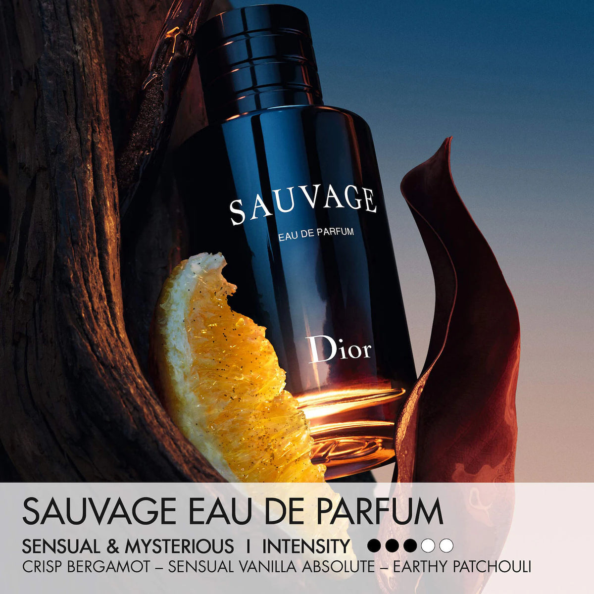 Sauvage Eau de Parfum Gift Set
